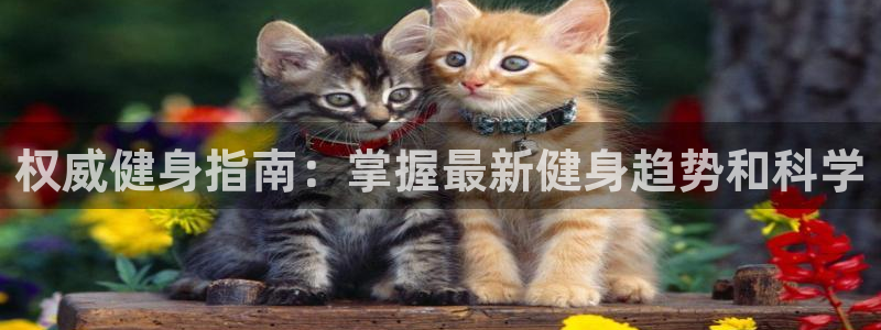 球友会·(QY)官方网站