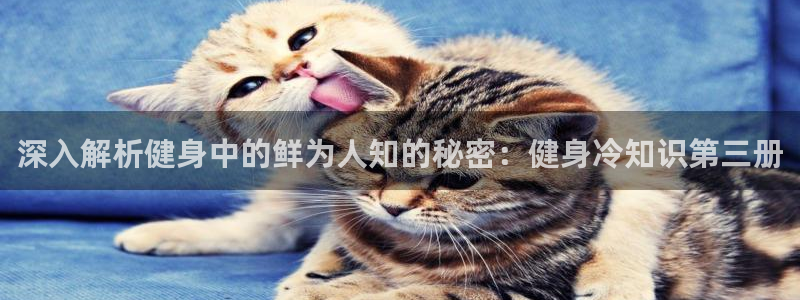 球友会官网下载