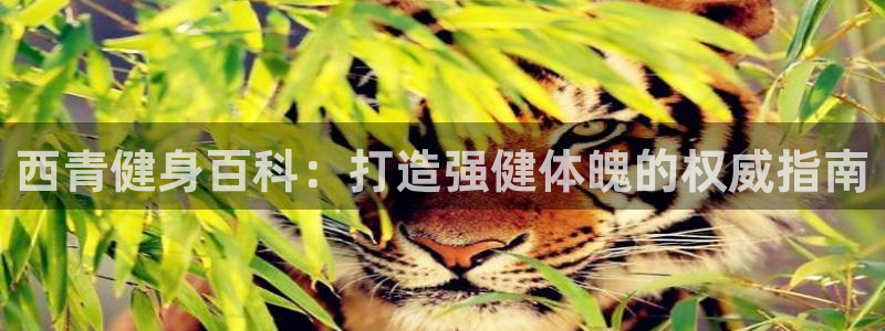 千亿球友会平台