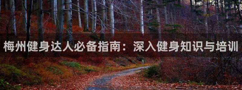 QY球友会体育