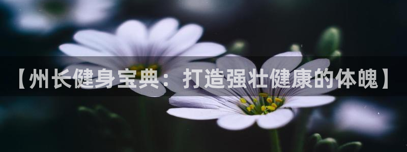 QY球友会体育官网