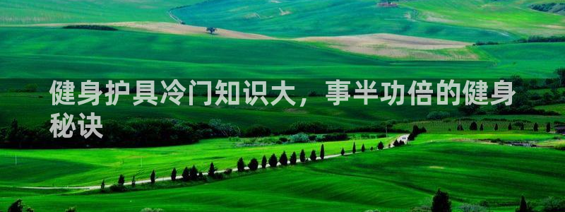 qy球友会下载