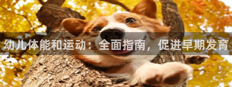 qy千亿球友会app下载